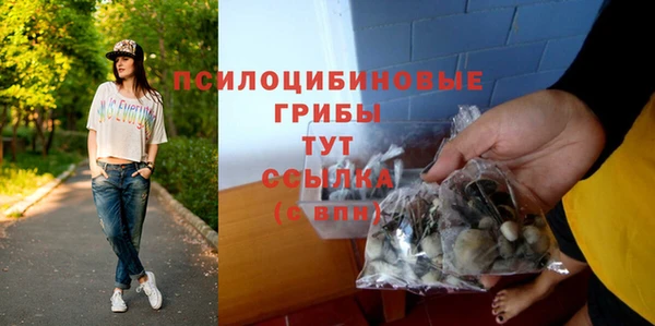 метадон Богородицк