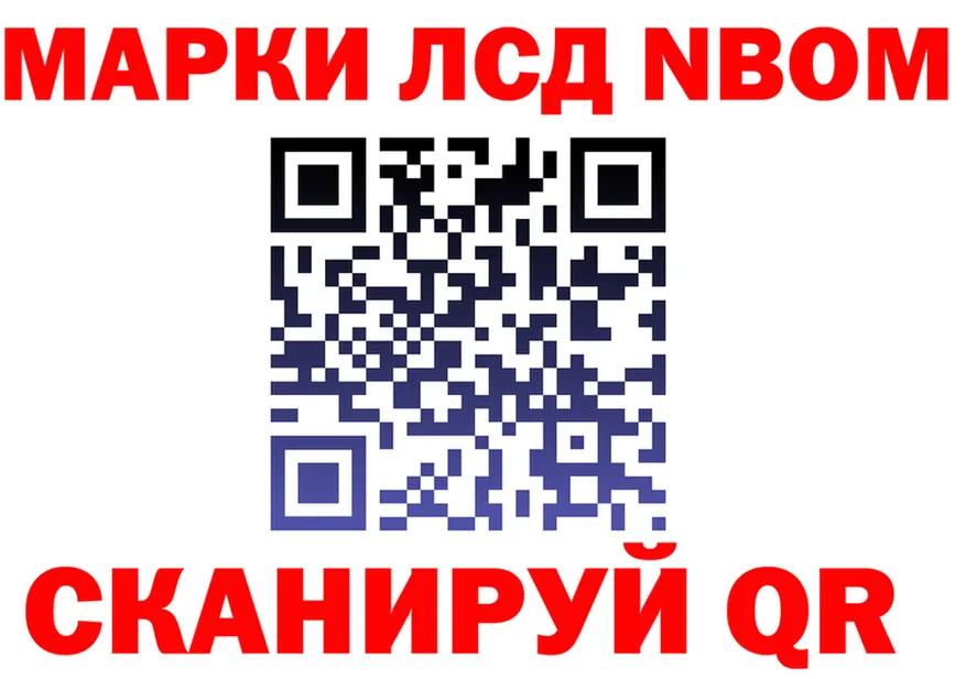 АМФ Premium вход площадка KRAKEN Новосокольники